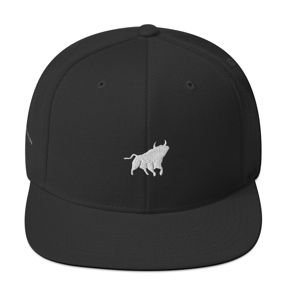 Bull - Virsa Hat – Snapback Urban